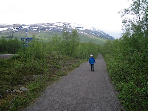 Abisko Juni 2009 Dag 2 - 37.jpg